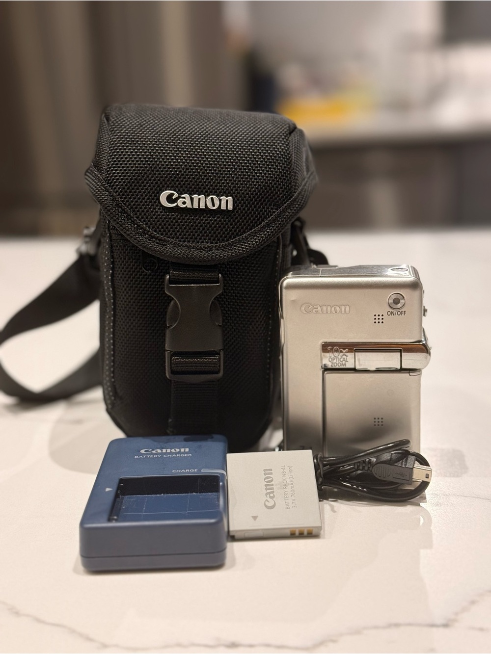 Canon Compact Silver Digital Camera with Black Carrying Case tx1 powershot